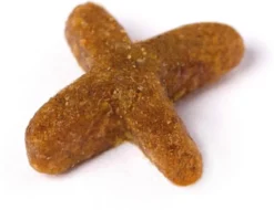 Prins VitalCare Indoor 10 Kg - Kat -Merkloos Verkoop 1200x922