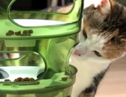 Cat-It Senses 2.0 Food Tree - Wit/Groen - Voerbak - Ø 35 Cm -Merkloos Verkoop 1200x923