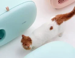 MakeSure Kattenbak Met Lade - Groen - 60 X 38 X 45 Cm - Design -Merkloos Verkoop 1200x927