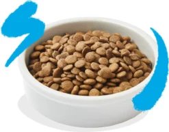 Edgard & Cooper Kattenvoer Adult Zalm 4 Kg 13 Edgard & Cooper Kattenvoer Adult Zalm 4 Kg -Merkloos Verkoop 1200x936