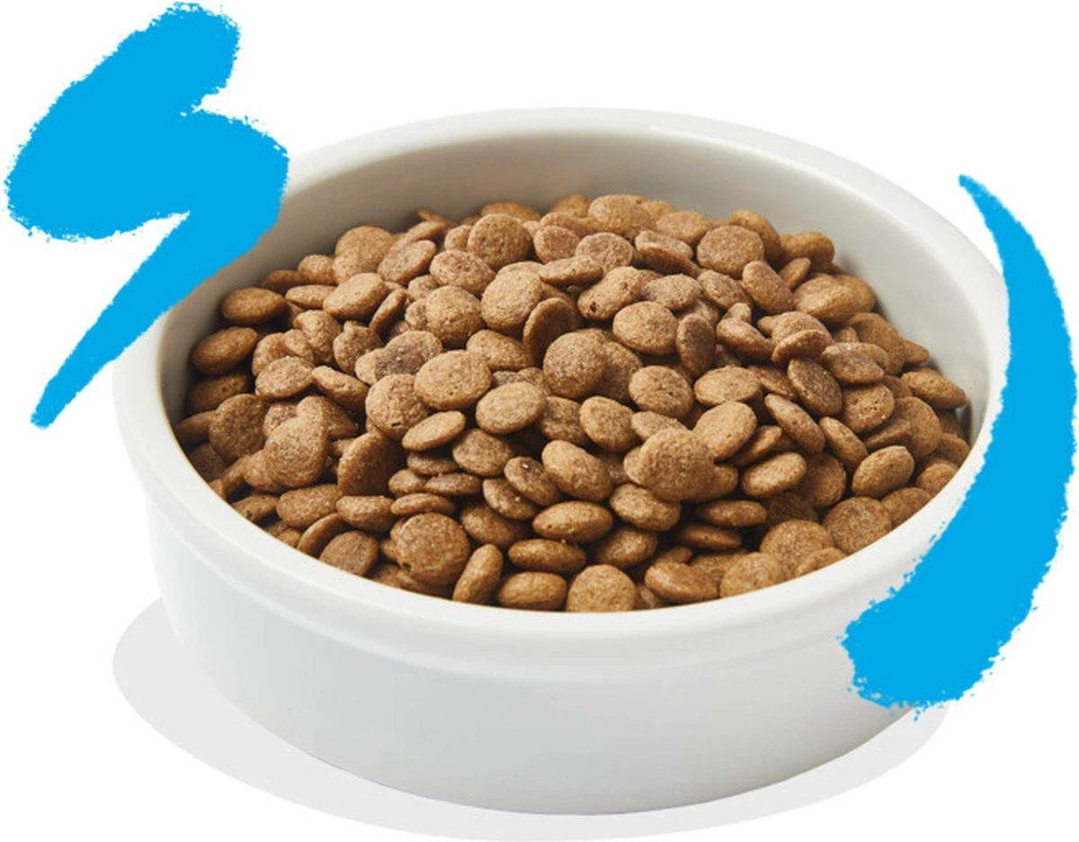 Edgard & Cooper Kattenvoer Adult Zalm 4 Kg 4 Edgard & Cooper Kattenvoer Adult Zalm 4 Kg - Image 4