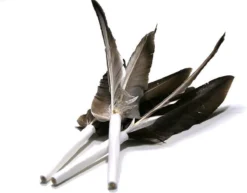 Tabby Tijger Happy After - Kattenspeelgoed - Beloningsspeeltje - Veren