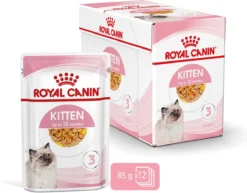 Royal Canin Kitten In Jelly - Kattenvoer - 1020 G 39 Royal Canin Kitten In Jelly - Kattenvoer - 1020 G -Merkloos Verkoop 1200x939