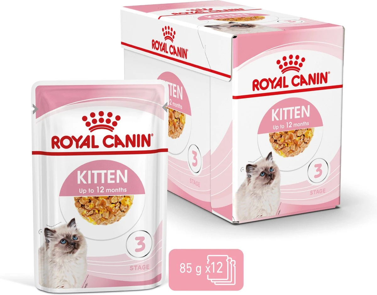 Royal Canin Kitten In Jelly - Kattenvoer - 1020 G 20 Royal Canin Kitten In Jelly - Kattenvoer - 1020 G - Image 20