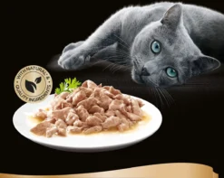 Sheba Mini Filets In Saus Kattenvoer Maaltijdzakjes Gevogelte 40 X 85 G -Merkloos Verkoop 1200x959 1