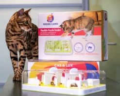 Voorkant -Merkloos Verkoop 1200x960 2