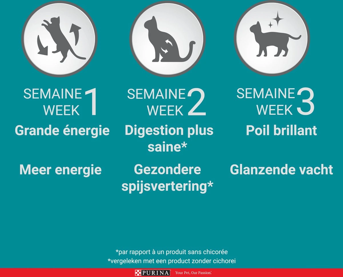 Purina ONE Junior - Kip/Granen - Kattenvoer - 800 G 4 Purina ONE Junior - Kip/Granen - Kattenvoer - 800 G - Image 4