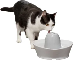 PetSafe® Streamside Ceramic Pet Fountain - Keramische Drinkfontein Voor Katten En Kleine Honden - Water Borrelt Zacht Over De Toren - Door Het Design Van Alle Kanten Bereikbaar - 1,8 Liter - PetSafe Streamside -Merkloos Verkoop 1200x983 1