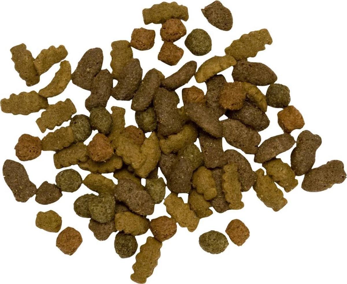 Pets Place Kat Adult - Kattenvoer - Zalm - 4 Kg 2 Pets Place Kat Adult - Kattenvoer - Zalm - 4 Kg - Image 2