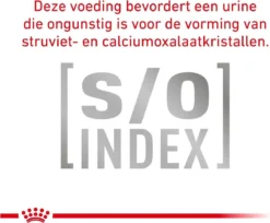 Royal Canin Anallergenic Kattenvoer 4 Kg -Merkloos Verkoop 1200x990