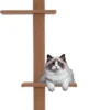 Merkloos Krabpaal In Hoogte Verstelbaar - Kattenkrabpaal - Krabpaal Voor Katten - Kattenspeeltjes - Katten - Bruin - 43L X 27B X 228-260H Cm