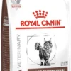 Royal Canin Gastro Intestinal Moderate Calorie - Kattenvoer - 4 Kg