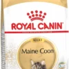Royal Canin Maine Coon Adult - Kattenvoer - 10 Kg