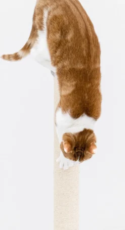 Petrebels Maine 90 Krabpaal - Grijs - 40 X 40 X 90 Cm - Extra Stabiel -Merkloos Verkoop 652x1200 3