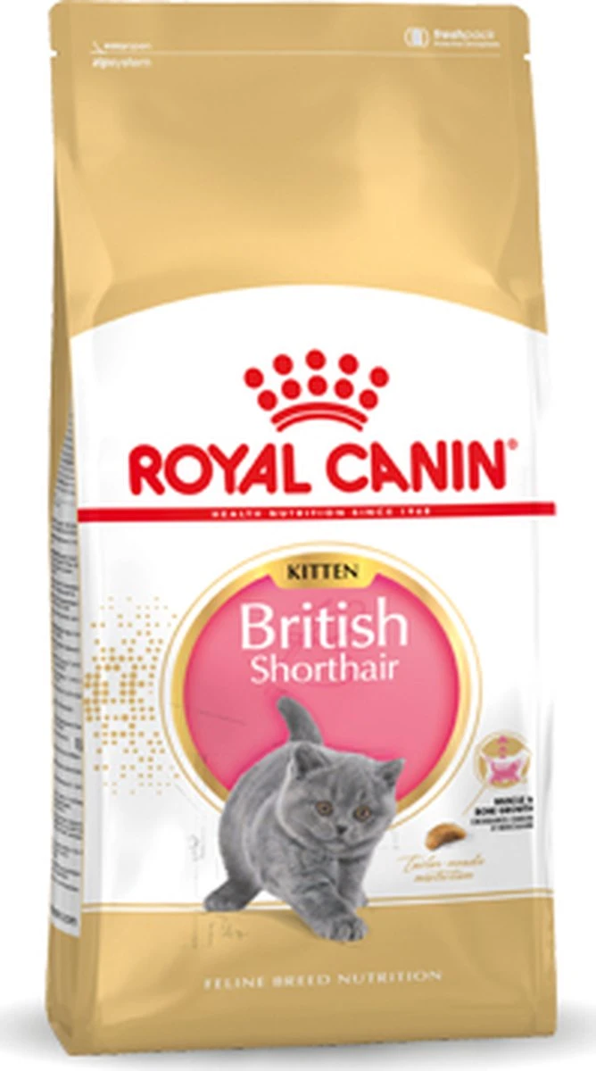 Royal Canin British Shorthair Kitten - 2 Kg 13 Royal Canin British Shorthair Kitten - 2 Kg - Image 13