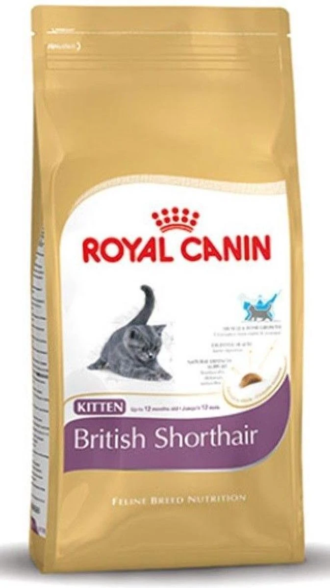 Royal Canin British Shorthair Kitten - 2 Kg 11 Royal Canin British Shorthair Kitten - 2 Kg - Image 11