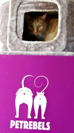 Petrebels Little Rock 99 Katten Krabpaal - Cappuccino - 99 Cm - Stabiel -Merkloos Verkoop 675x1200 3