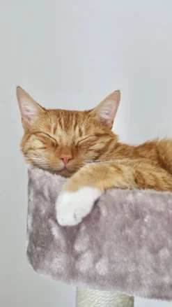 Petrebels Little Rock 99 Katten Krabpaal - Cappuccino - 99 Cm - Stabiel -Merkloos Verkoop 675x1200 4