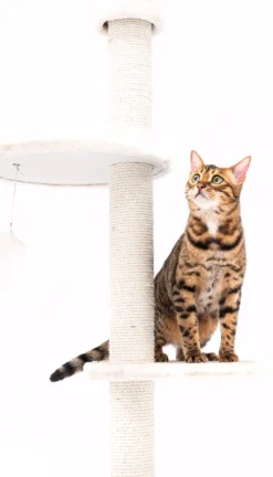 Petrebels Anna 240 Krabpaal - Creme - 240 Tot 265 Cm - Met Plafondspanner -Merkloos Verkoop 686x1200 4