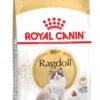 Royal Canin Ragdoll Adult - Kattenvoer - 2 Kg