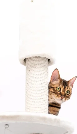 Petrebels Anna 240 Krabpaal - Creme - 240 Tot 265 Cm - Met Plafondspanner -Merkloos Verkoop 690x1200 4