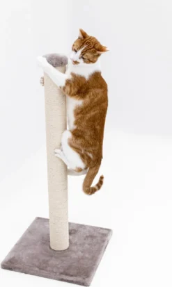 Petrebels Maine 90 Krabpaal - Cappuccino - 40 X 40 X 90 Cm - Extra Stabiel -Merkloos Verkoop 717x1200 2