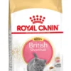 Royal Canin British Shorthair Kitten - 2 Kg