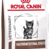 Royal Canin Gastrointestinal Kitten - 2 Kg