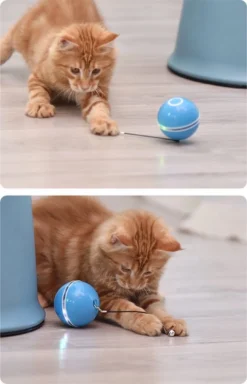 Otiume Elektrische Speelbal - Slimme Interactieve Zelfrollende Bal - Speelgoed Voor Katten - Kattenspeelgoed - Blauw -Merkloos Verkoop 771x1200