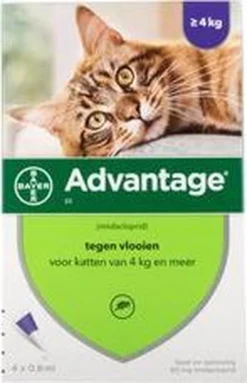 Advantage 80 Vlooiendruppelsl Kat Vanaf 4 Kg - 4 Pipetten -Merkloos Verkoop 773x1200 1