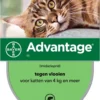 Bayer Anti Vlooienmiddel Advantage 80 > 4 Kg - 4 X 0,8 Ml
