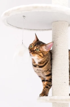 Petrebels Anna 240 Krabpaal - Creme - 240 Tot 265 Cm - Met Plafondspanner -Merkloos Verkoop 795x1200 5