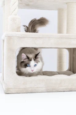 Petrebels Lodge 107 Krabpaal - Creme - Design - Zeer Stabiel -Merkloos Verkoop 799x1200 7