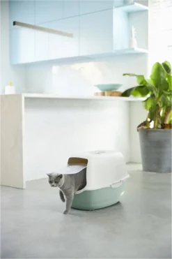 Rotho Bailey - Kattenbak - Groen/Zand -Merkloos Verkoop 800x1200 10