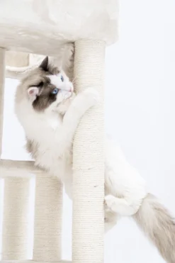 Petrebels Lodge 107 Krabpaal - Creme - Design - Zeer Stabiel -Merkloos Verkoop 800x1200 12