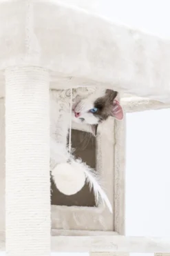 Petrebels Lodge 107 Krabpaal - Creme - Design - Zeer Stabiel -Merkloos Verkoop 800x1200 13