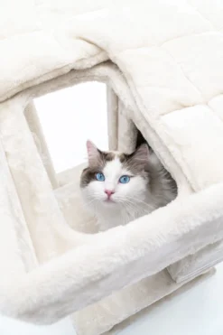 Petrebels Lodge 107 Krabpaal - Creme - Design - Zeer Stabiel -Merkloos Verkoop 800x1200 17