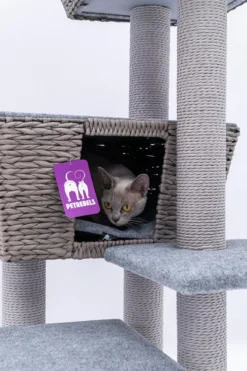 Petrebels Caribbean Love 141 Krabpaal - Grijs - 141 Cm - Natuurlijke Materialen 14 Petrebels Caribbean Love 141 Krabpaal - Grijs - 141 Cm - Natuurlijke Materialen -Merkloos Verkoop 800x1200 19