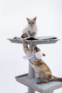 Petrebels Caribbean Love 141 Krabpaal - Grijs - 141 Cm - Natuurlijke Materialen 15 Petrebels Caribbean Love 141 Krabpaal - Grijs - 141 Cm - Natuurlijke Materialen -Merkloos Verkoop 800x1200 20