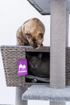 Petrebels Caribbean Love 141 Krabpaal - Grijs - 141 Cm - Natuurlijke Materialen 18 Petrebels Caribbean Love 141 Krabpaal - Grijs - 141 Cm - Natuurlijke Materialen -Merkloos Verkoop 800x1200 23