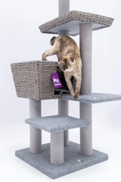 Petrebels Caribbean Love 141 Krabpaal - Grijs - 141 Cm - Natuurlijke Materialen 22 Petrebels Caribbean Love 141 Krabpaal - Grijs - 141 Cm - Natuurlijke Materialen -Merkloos Verkoop 800x1200 26