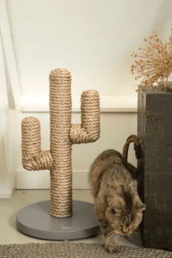 Designed By Lotte Houten Cactus - Krabpaal - Taupe - 35 X 35 X 60 Cm -Merkloos Verkoop 800x1200 31