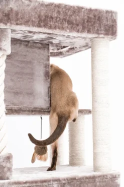 Petrebels Lodge 107 Krabpaal - Cappuccino - Design - Zeer Stabiel 18 Petrebels Lodge 107 Krabpaal - Cappuccino - Design - Zeer Stabiel -Merkloos Verkoop 800x1200 35