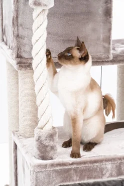 Petrebels Lodge 107 Krabpaal - Cappuccino - Design - Zeer Stabiel 21 Petrebels Lodge 107 Krabpaal - Cappuccino - Design - Zeer Stabiel -Merkloos Verkoop 800x1200 36