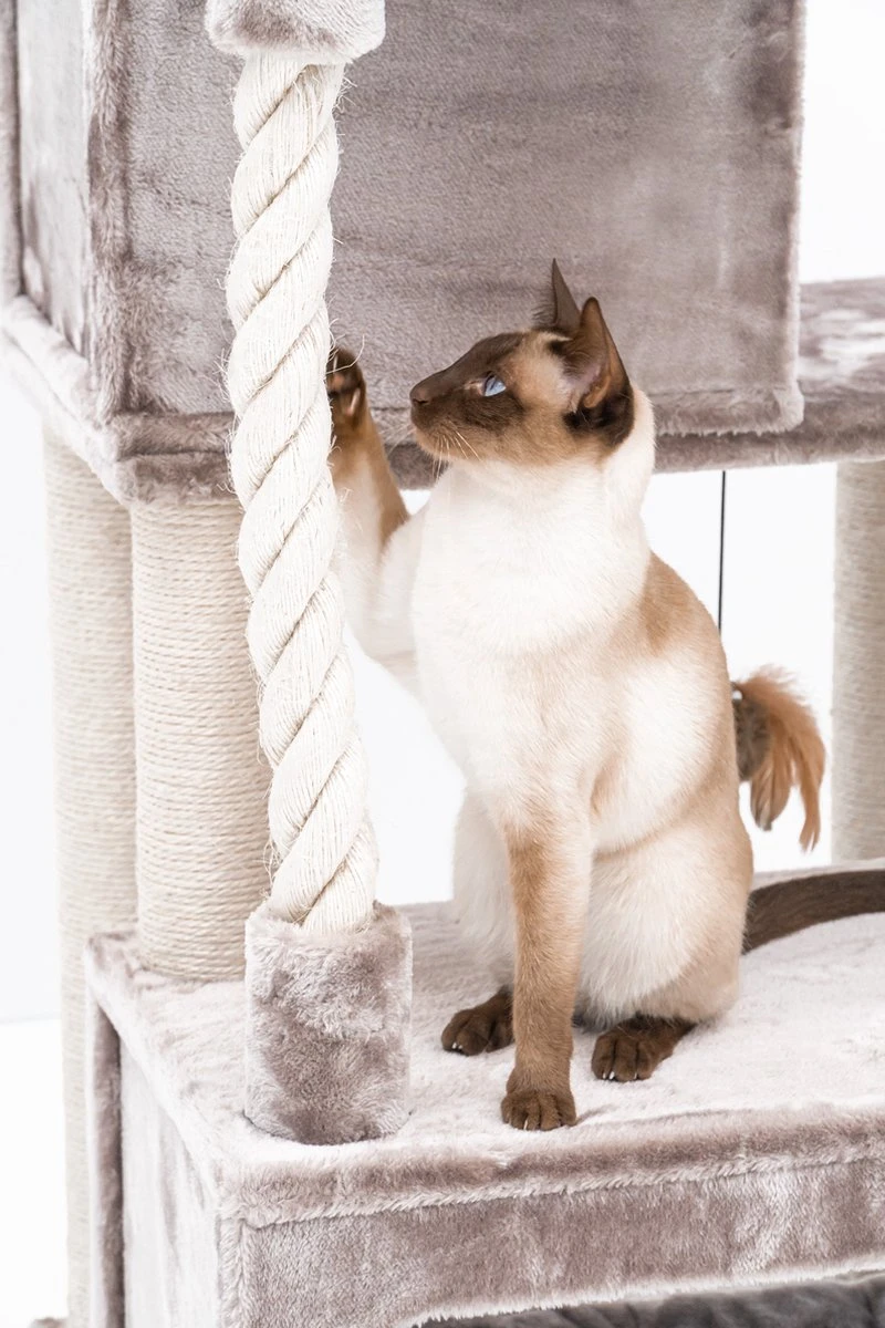 Petrebels Lodge 107 Krabpaal - Cappuccino - Design - Zeer Stabiel 11 Petrebels Lodge 107 Krabpaal - Cappuccino - Design - Zeer Stabiel - Afbeelding 11