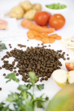 Kivo Petfood Kattenbrokken Verse Zalm - 5 Kg - Graanvrij 8 Kivo Petfood Kattenbrokken Verse Zalm - 5 Kg - Graanvrij -Merkloos Verkoop 800x1200 4