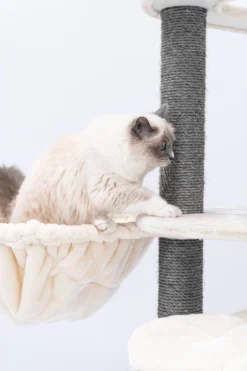 Petrebels Catharina 160 Krabpaal - Creme - 2 Hangmatten - Grote Katten -Merkloos Verkoop 800x1200 58