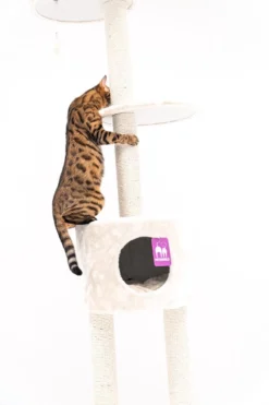 Petrebels Anna 240 Krabpaal - Creme - 240 Tot 265 Cm - Met Plafondspanner -Merkloos Verkoop 800x1200 60