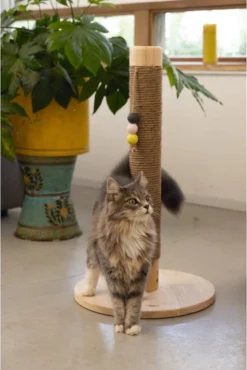 Designed By Lotte Sinora - Krabpaal - 40x40x70 Cm -Merkloos Verkoop 802x1200 10