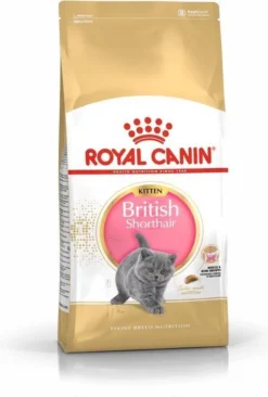 Royal Canin British Shorthair Kitten - 2 Kg 24 Royal Canin British Shorthair Kitten - 2 Kg -Merkloos Verkoop 809x1200 1